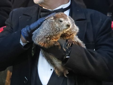 Groundhog Club co-handler John Griffiths holds Punxsutawney Phil, the weather prognosticating groundhog, during the 132nd celebration of Groundhog Day on Gobbler's Knob in Punxsutawney, Pa., Friday, Feb. 2, 2018.