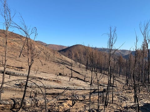 The Camp Fire burned so hot and intense there is little remaining in the mountains near Concow, Calif. Residents would like to camp out on their properties, but the federal government says they have to wait until toxic debris is cleared.