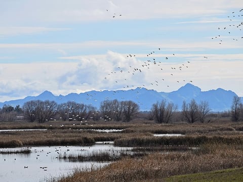 Saturday is the 34th annual Bike Around The Buttes event.
