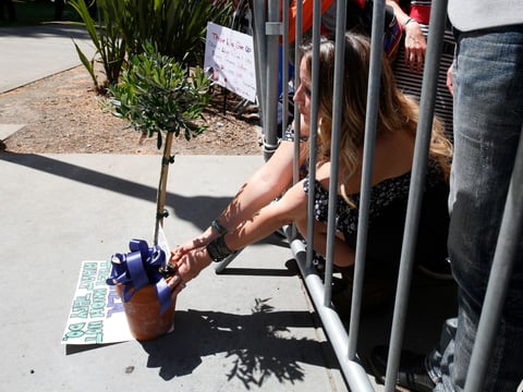 Anti-vaccination activist Tara Thornton tries to places an olive tree through a barricade for members of the California Highway Patrol as a peace offering during a demonstration May 7 against Gov. Gavin Newsom's stay-at-home order at the Capitol.