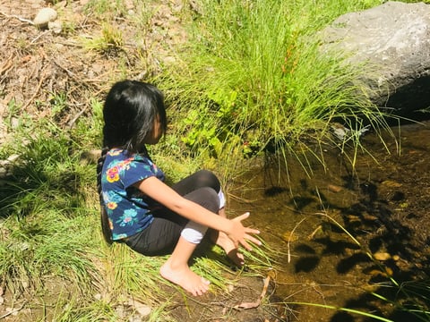 Gathering elderberries and taking part in the return of the ancestors annual spiritual runs in May 2019.