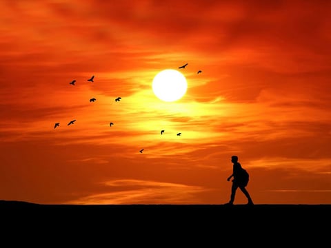 Sunset Silhouette (PublicDomainPictures.net)