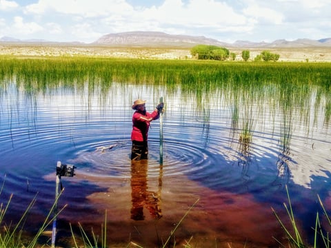 Alicia Thomas, a wildlife refuge specialist with the US Fish and Wildlife Service, installing nets for duck banding in Nevada.
