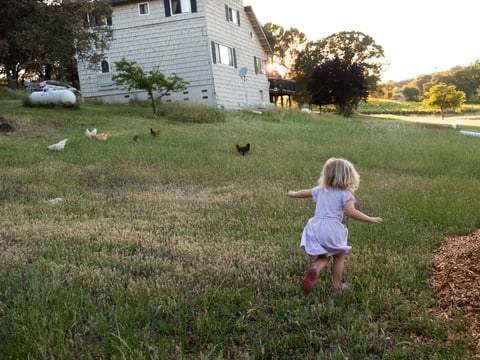 Isla Piona, 3, plays in the yard at her Pilot Hill home Wednesday, May 27, 2020.