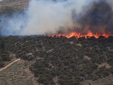 The Poeville Fire burns on Peavine Peak northwest of Reno in Washoe County, Nevada on Saturday, June 27, 2020.