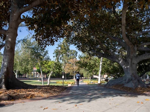 Students at UCLA walk across Dickson Court North on August 7, 2019.