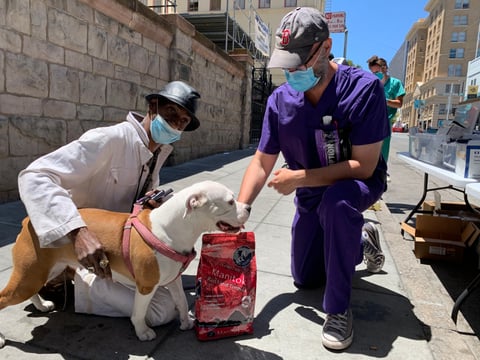 Pets In Need staff offer free veterinary care and food supplies to homeless people and their pets in San Francisco's Tenderloin district.