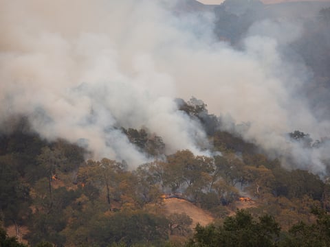 A hillside west of Lake Berryessa burns in the LNU Lightning Complex fires on Thursday, August 20, 2020.