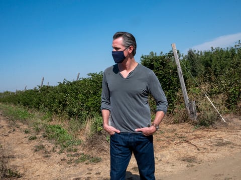 California Gov. Gavin Newsom tours Sierra Orchards walnut farm in Winters, Calif., Wednesday, Oct. 7, 2020.