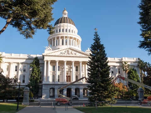 The Capitol holiday tree in Sacramento Thursday, Nov, 12, 2020.