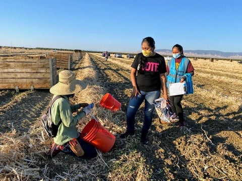 California farmworkers work during the coronavirus pandemic.