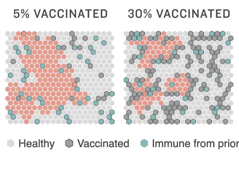 Model of how vaccination rates effect infection rates.