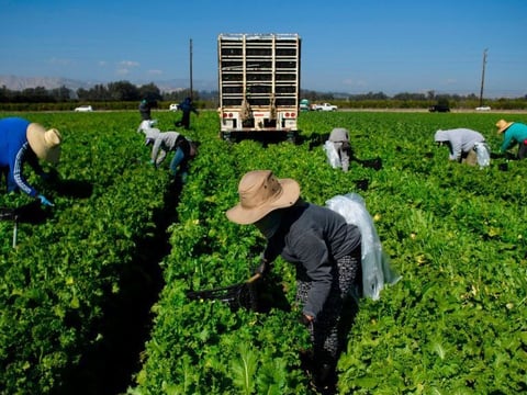 The Supreme Court found that a law that allowed farmworkers union organizers onto farm property during nonworking hours unconstitutionally appropriates private land.