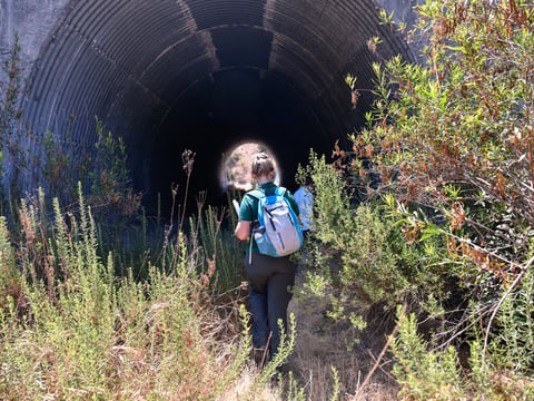 Michelle Mariscal, an ecologist for the Puente Hills Habitat Preservation Authority, walks into the Harbor Boulevard Wildlife Underpass in La Habra Heights, on June 30, 2021.