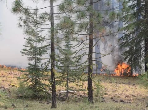 Investigators say they've linked the Ranch Fire, pictured here shortly after its discovery, and other blazes to Gary Maynard, a former college professor. He is charged with starting only the Ranch Fire.