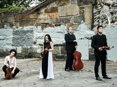 The Verona Quartet is a string quartet for the 21st century.