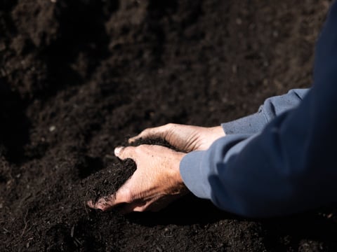 Robert Reed handles compost at Recology's Wheatland composting facility Friday, June 17, 2022.