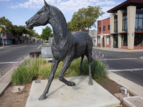 A statue commemorates the history of ranching in North Sacramento, July 27, 2022.