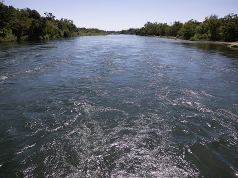 The view of the American River from Sunrise Recreation Area Wednesday, May 17, 2023.