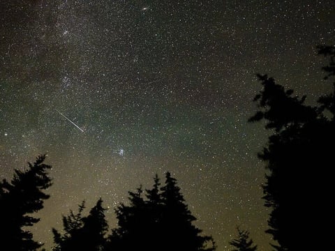 In this 30 second exposure, a meteor streaks across the sky during the annual Perseid meteor shower, Wednesday, Aug. 11, 2021, in Spruce Knob, West Virginia.