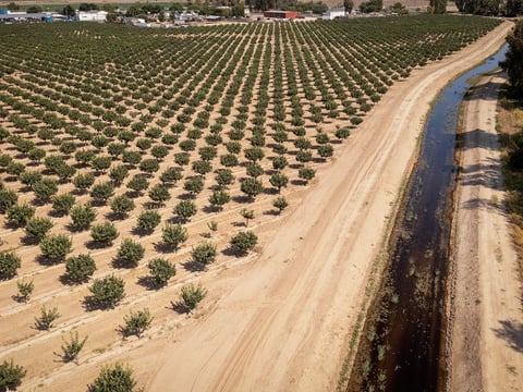 Farmland in Lemoore, on June 16, 2021.
