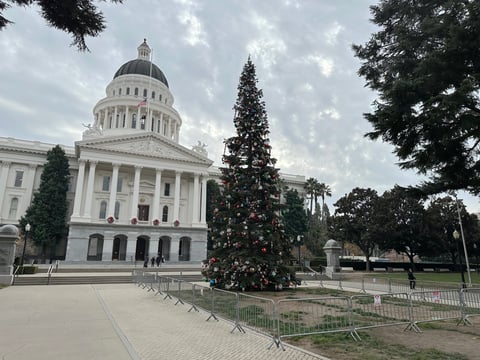 A Christmas tree stands in front of the west steps of the California Capitol on Wednesday, Dec. 6, 2023, in Sacramento, Calif.