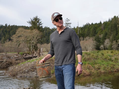 California Gov. Gavin Newsom holds fish trap while touring a salmon restoration project at Prairie Creek in Redwoods National Park, Calif., Monday, Jan. 29, 2024.