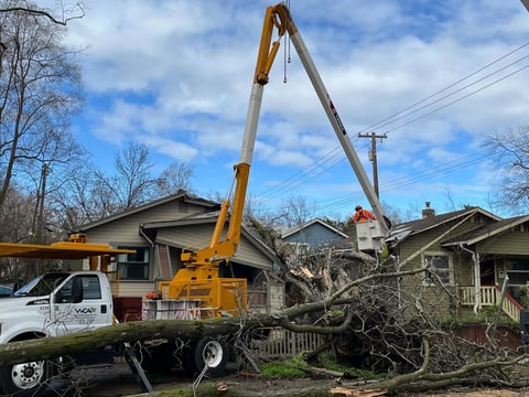 Two homes were damaged on 5th Street near T Street in downtown Sacramento when a large walnut tree collapsed on Sunday, Feb. 5, 2024. No one was injured, according to neighbor Martha Cervantes.