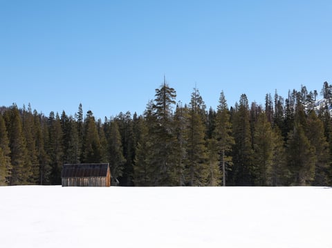 Snow blankets a meadow at Phillips Station in the Sierra Nevada on Tuesday, April 2, 2024.