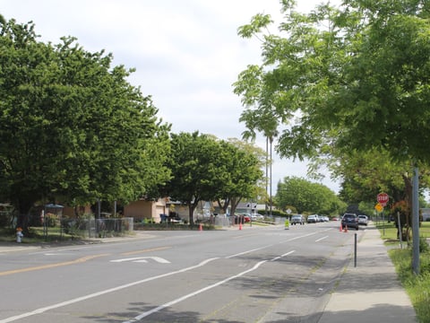 Trees line 68th Avenue in the Meadowview neighborhood of Sacramento on Thursday, April 26, 2024. The area has around 12% tree coverage a little more than a third of the city's goal of 35%.