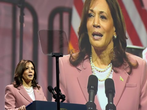 Vice President Kamala Harris speaks at the Alpha Kappa Alpha Sorority Inc. annual convention in Dallas, Wednesday, July 10, 2024.