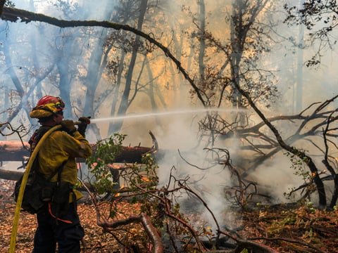 A firefighter sprays water on the Park Fire burning near Forest Ranch, Calif., Saturday, July 27, 2024.