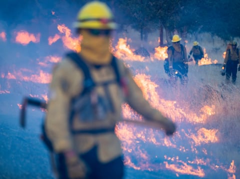 Fire crews light a burn operation along Highway 36 to slow the Park Fire near Dales, Calif., Monday, July 29, 2024.