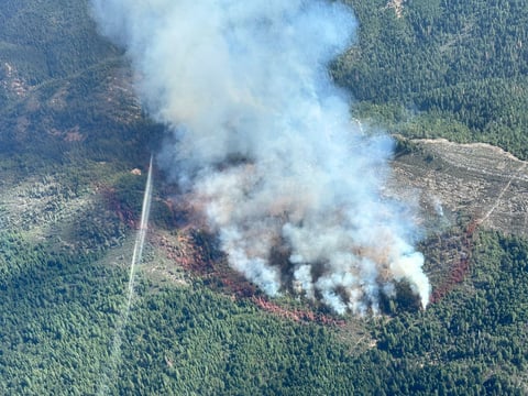 The Crozier Fire burns in El Dorado County, Calif. on Wednesday, Aug. 7, 2024.