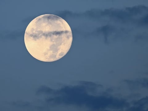 The sturgeon supermoon over Vanderbilt University's West End Tower in Nashville, Tenn., in August 2023.