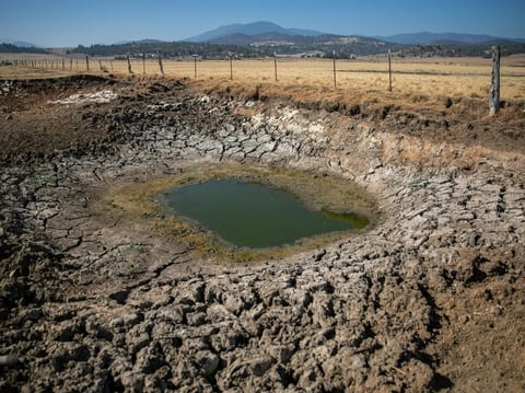 A dried out stock pond on a Siskiyou County ranch on Aug. 29, 2022. Ranchers who pumped Shasta River water to irrigate their crops faced minimal fines. Now new legislation will substantially increase such fines.
