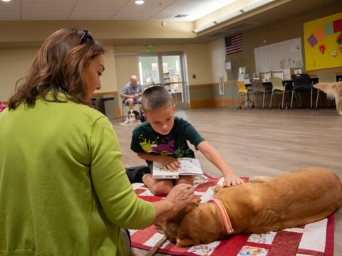 Third grader Alexey Panasenko pets Catch, a Golden Retriever therapy dog, during the Read to a Dog event Thursday, Sept. 26, 2024,  at Carmichael Library at 5605 Marconi Ave in Carmichael.