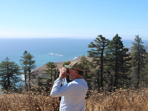 Jeff Stump, director of land protection for Save the Redwoods League, spots an old-growth redwood at a Sonoma County coastal property on Sept. 13, 2024. The League is currently in the process of buying the land in order to preserve it.