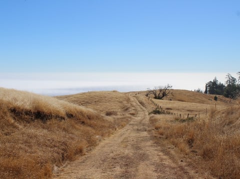 This 1,624-acre parcel of land along the Sonoma County coast is primarily made up of redwood forests and grasslands.