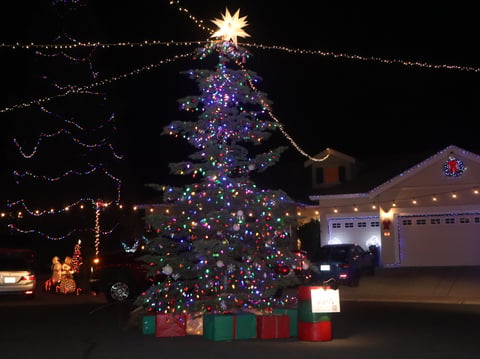 Rockmont Circle’s 25-foot Christmas Tree in the middle of the street that’s connected to each house on the street by lights.