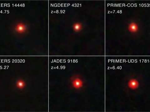 A team of astronomers sifted through James Webb Space Telescope data to compile one of the largest samples of "little red dots."