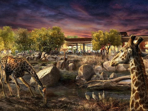 Renderings of the proposed zoo in Elk Grove.