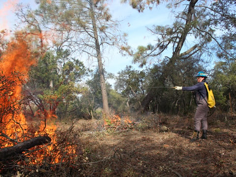 Kayley Walker worked her first burn with TERA on December 11, 2024 in Lake County. She took the group’s five-day firefighter and firelighter training with her sister Megan last summer.