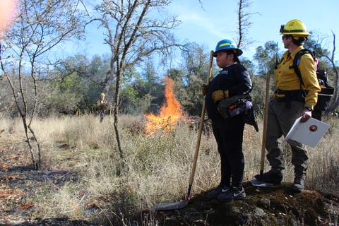Ten-year-old Rosie Whipple attended a TERA burn on December 11, 2024. She attended with her mother Nikcole, who’s a TERA trainee. At cultural burns, it’s common practice for both children and elders to attend alongside trained crew members.