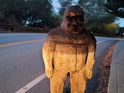 In this photo provided by the Scotts Valley Police Department is a figure of Bigfoot that officers found on a roadway in the mountains north of Santa Cruz in Scotts Valley, Calif., Thursday, Nov. 12, 2020.