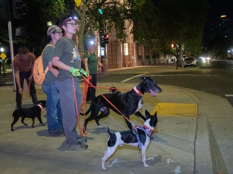 The Sacramento Rat Annihilation Team Thursday, Aug. 7, 2025, in downtown Sacramento.