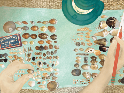 A spread from “Shell Song,” showing seashells collected by Sharon Fujimoto-Johnson’s grandfather.