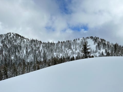A photo of Perrys Peak (right) 8320 feet, the site of the avalanche that occurred on Tuesday February 17, 2026. This photo was taken prior to the avalanche.