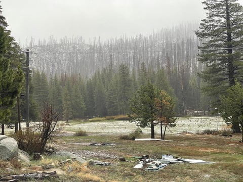 Barren conditions near Phillips Station March 31, 2026.