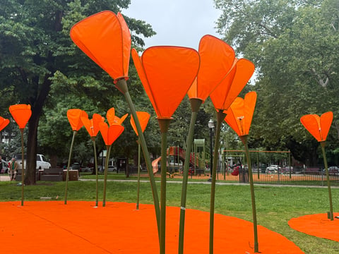 California poppy sculptures created by metal artist and certified welder Ginna Rossi. The sculptures are six to nine feet tall.